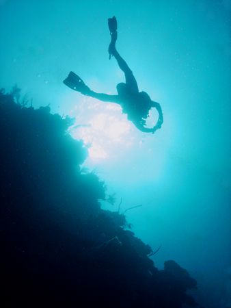 "Weightless and Floating" this photo was taken in Roatan.... by Steven Anderson 