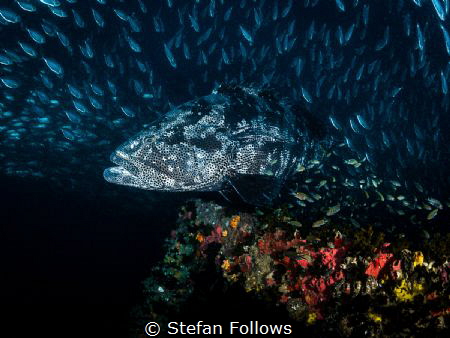 A Ceiling for some, a floor for another ...

Malabar Gr... by Stefan Follows 