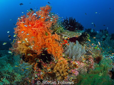 Yes please ... !

Gili Mimpang

Bali, Indonesia - www... by Stefan Follows 
