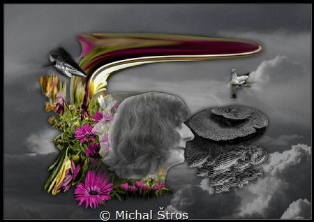 Our restless mind

We try to think positively to experi... by Michal Štros 