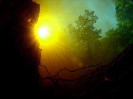 Blending of 2 Worlds! This was taken in Ginnie springs...... by Becky Kagan 