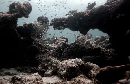 Maldives 2006. Nikkor 12-24mm. by Chris Wildblood 