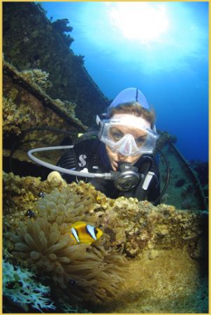 tiny clown fish on the Aida wreck in Red Sea guards it ho... by Fiona Ayerst 