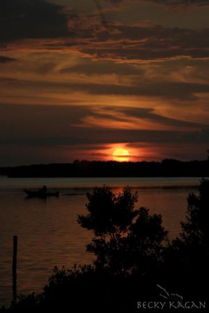 Image taken at Ft. Desoto beach FL...on 4th of july night... by Becky Kagan 