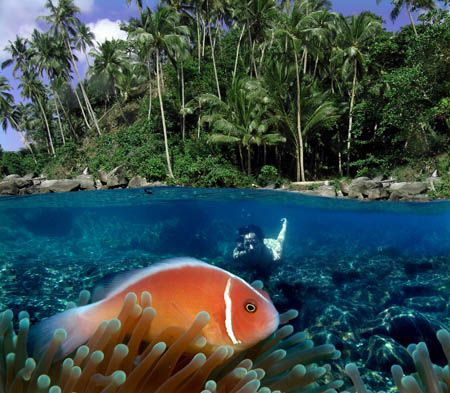 Kilang Beach, Soutern Molluca, Indonesia. Molluca provinc... by Iman Brotoseno 
