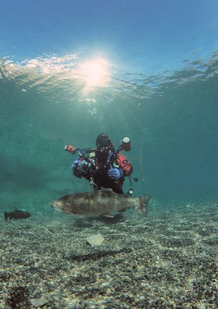 Dirk, trout & reflection.
Capernwray.
F90X,16mm. by Mark Thomas 