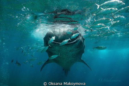 Philippines by Oksana Maksymova 