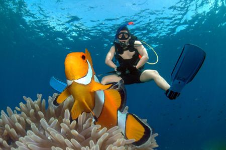 Yuhu..ride a nemo by Iman Brotoseno 