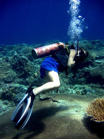taken in balicasag island by Robert Formoso 