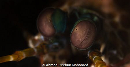 Windows into the soul. by Ahmed Reehan Mohamed 