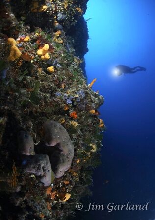 What Diversity - The Adriatic is definitely not dead. EOS... by Jim Garland 