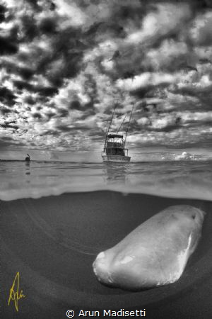 just cruising (taken under permit) by Arun Madisetti 