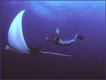 ballet of the ocean by Fiona Ayerst 