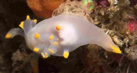 Hi - Apologies - but another Scilly (isles of ) shot - th... by Malcolm Nimmo 