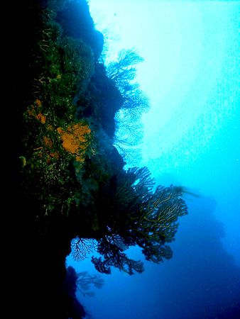 Long way from the surface . This photo was taken after ex... by Steven Anderson 