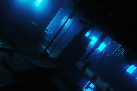 Aguila Wreck, Roatan. by Shawn Jackson 