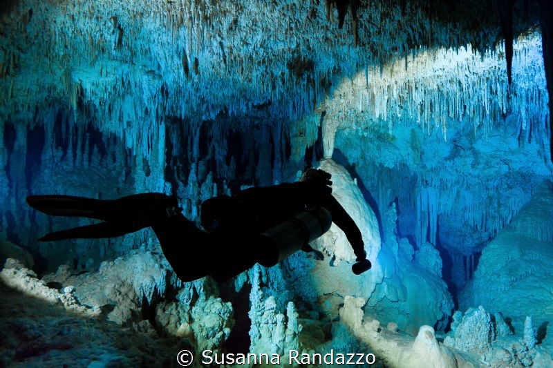 a light opens on the multitude of formations in the subme... by Susanna Randazzo 