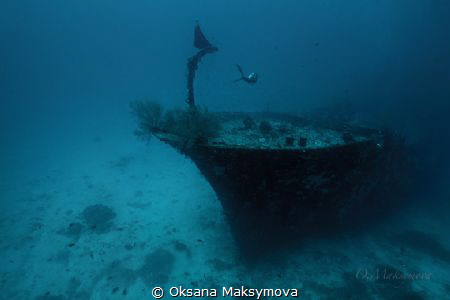 Somewhere deep ...
Kuda giri wreck, south Male Atoll by Oksana Maksymova 