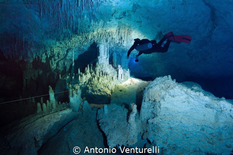 cave diving in  cenote Zacil Ha_Tulum_ 2021
(Canon 14mm,... by Antonio Venturelli 