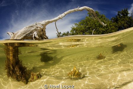 playa caballones,canon 5D mark III, tokina lens 10-17mm a... by Noel Lopez 