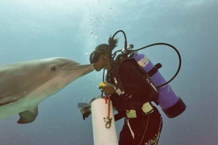 Kissing dolphins in Freeport, G.B.I. Nikonos V (20mm). by Spencer Multack 