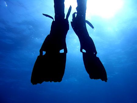 Fins
Canon Digital Ixus 700 - Case WP-DC70 by Riccardo Colaiori 