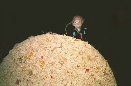 Pam @ Prop of Upright Spiegel Grove @ 1336' and @ night -... by Michael Sacito 