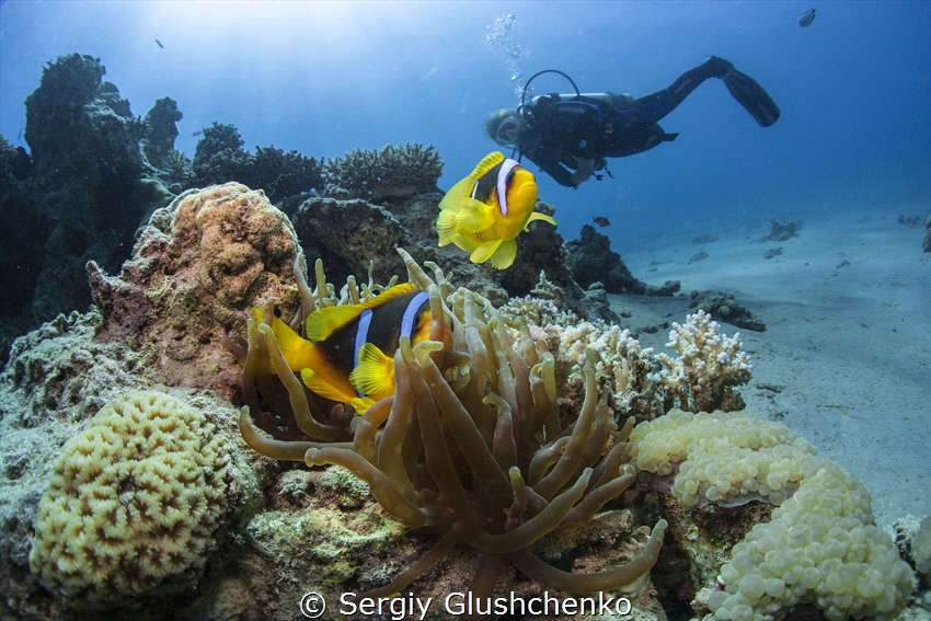 Eilat by Sergiy Glushchenko 