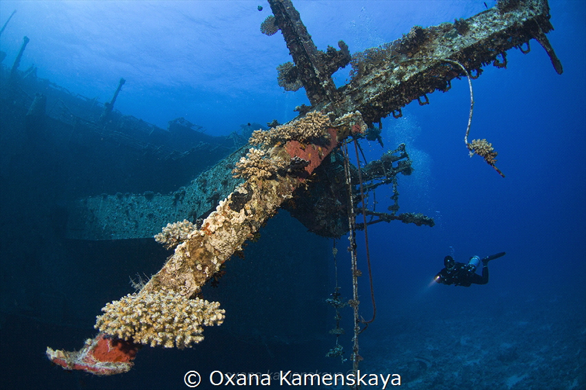 Wreck Salem Express. Mast. by Oxana Kamenskaya 