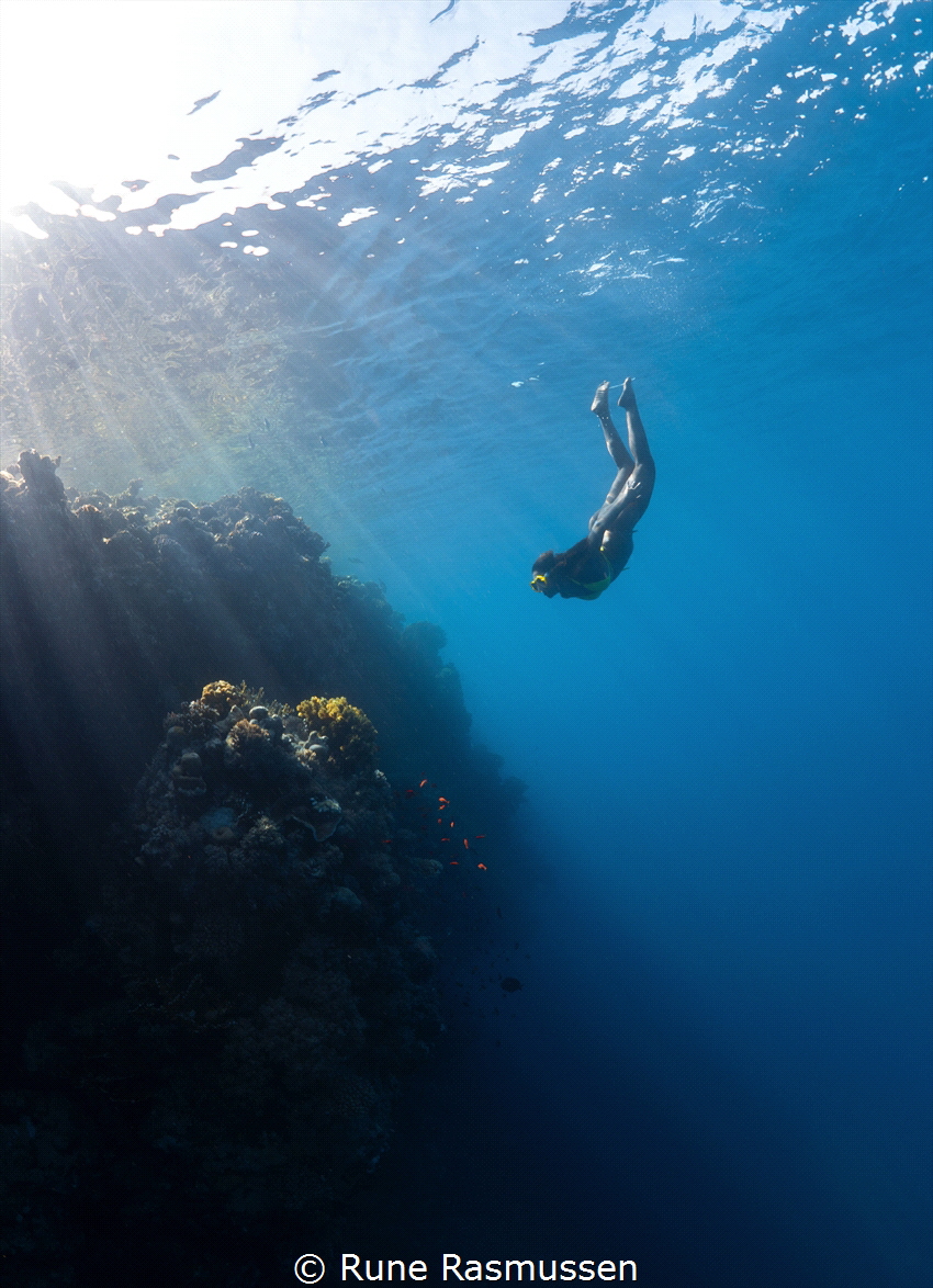 coral lover by Rune Rasmussen 