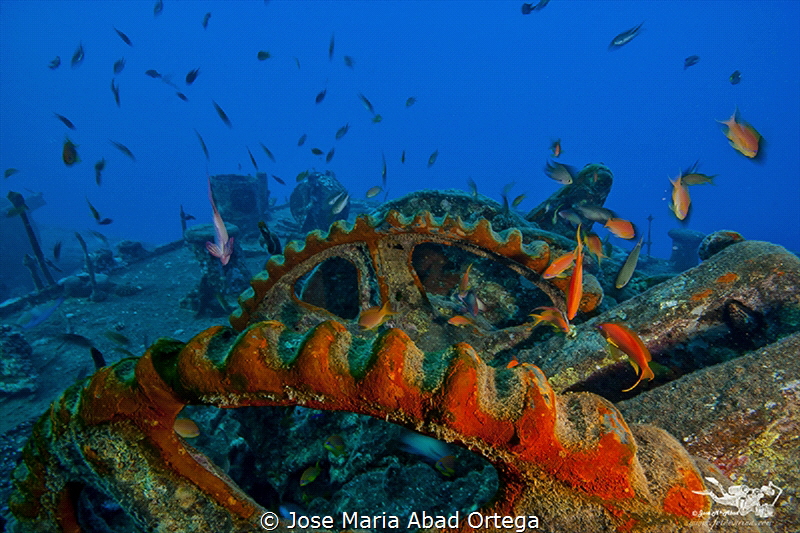 SS Thistlegorm 
Detail on the deck of the sunken ship
 by Jose Maria Abad Ortega 