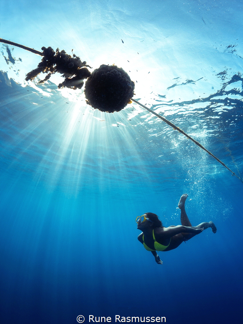 swimming in the light rays by Rune Rasmussen 