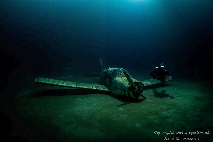 It is from the German lake kreidesee on 55m depth.
@krei... by Rene B. Andersen 