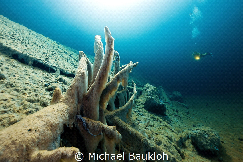 Diving in crystal clear water by Michael Baukloh 
