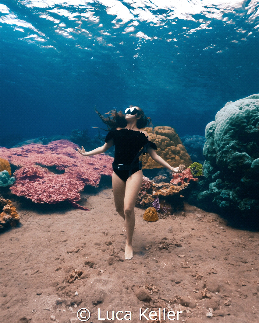 Coral Reef Expectations V2 by Luca Keller 