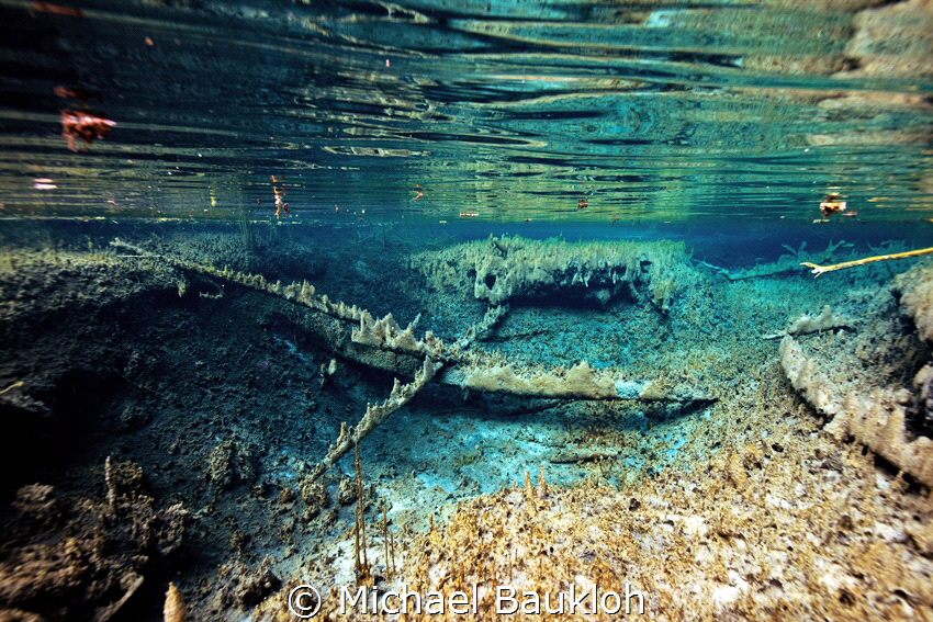 Freshwater Spring by Michael Baukloh 