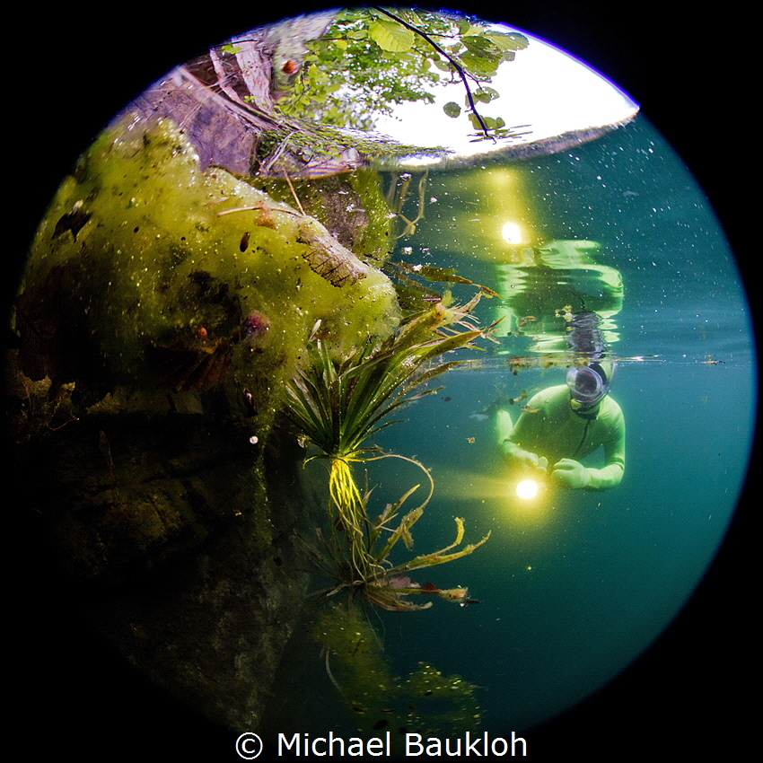 Snorkeling in Freshwater by Michael Baukloh 
