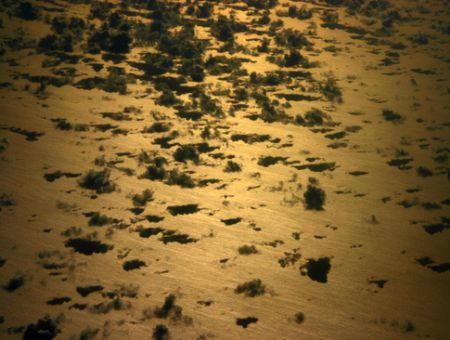 Pacific Sunset at 20,000 ft. This photo was taken about 2... by Mathew Cook 