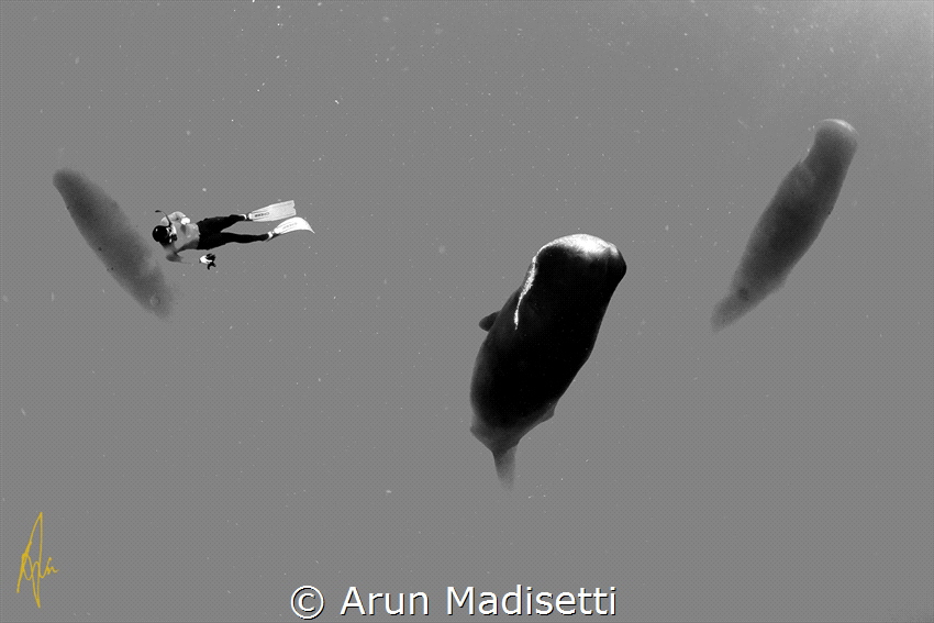 Sleepers (taken under permit) by Arun Madisetti 