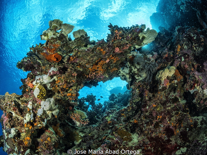 Seascape on Talisay Moalboal by Jose Maria Abad Ortega 