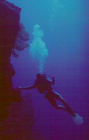 Daniel Vich finds the only fan coral at 150 feet looking ... by Scott Kreger 