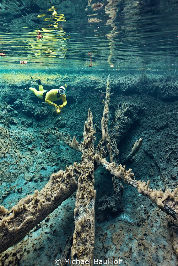Snorkeling in a freshwater spring by Michael Baukloh 