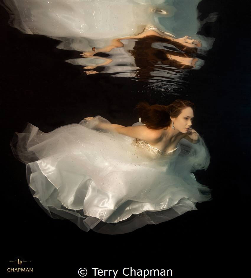 This photo of a model in a prom dress was made using a Ni... by Terry Chapman 