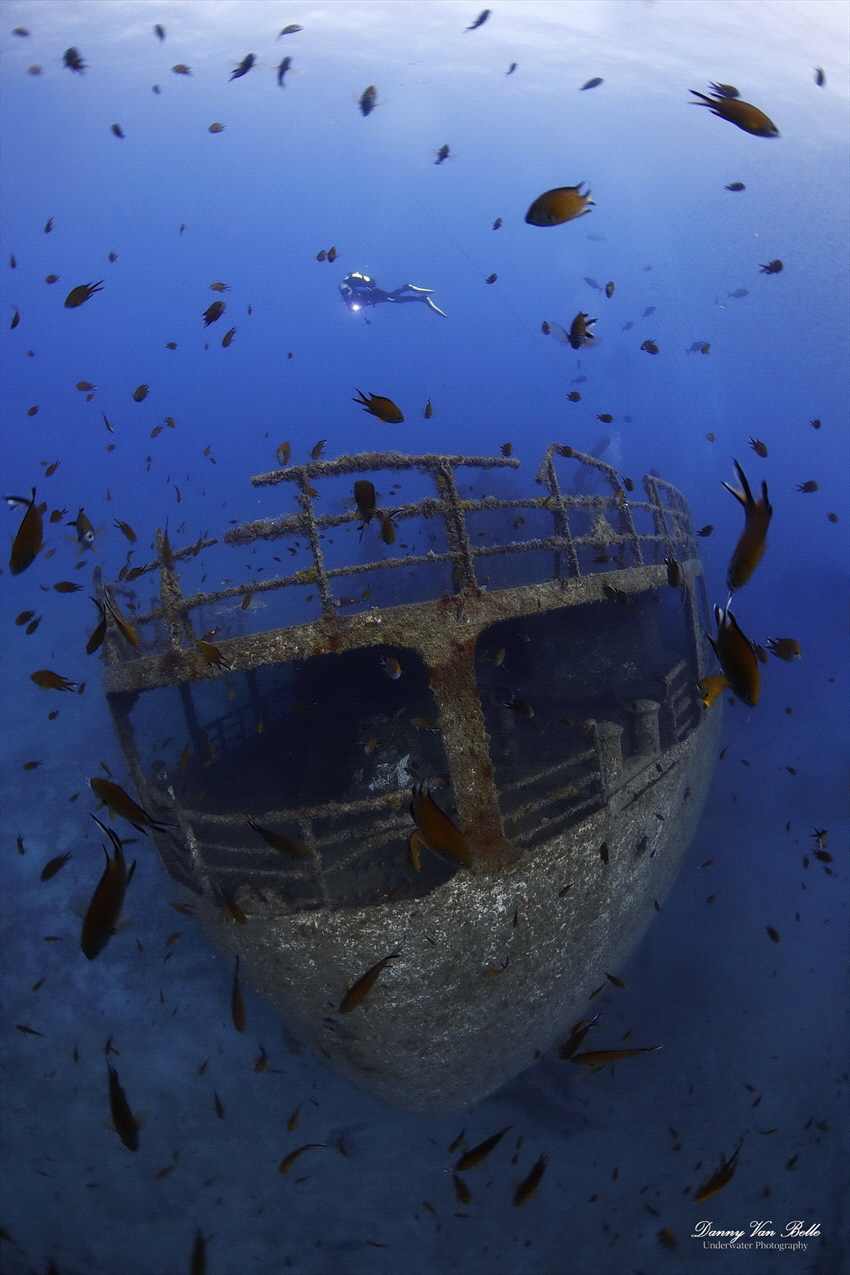 The Madeirense wreck near the island of Porto Santo near ... by Danny Van Belle 