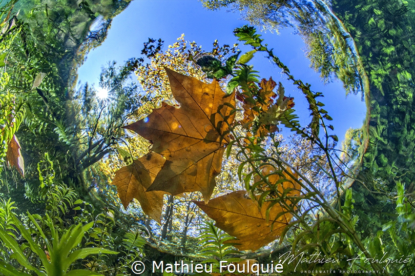 Aveze spring (France) by Mathieu Foulquié 