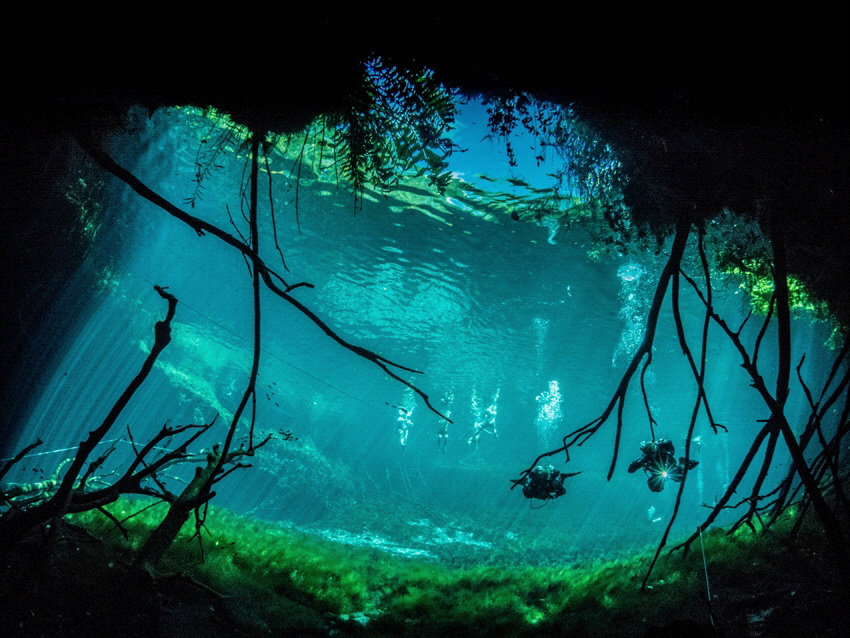 The entrance of the Aktun Ha cave in Mexico seen from ins... by Brenda De Vries 
