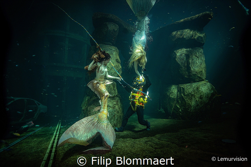 This shot was taken in an indoor dive site in Beringen, B... by Filip Blommaert 