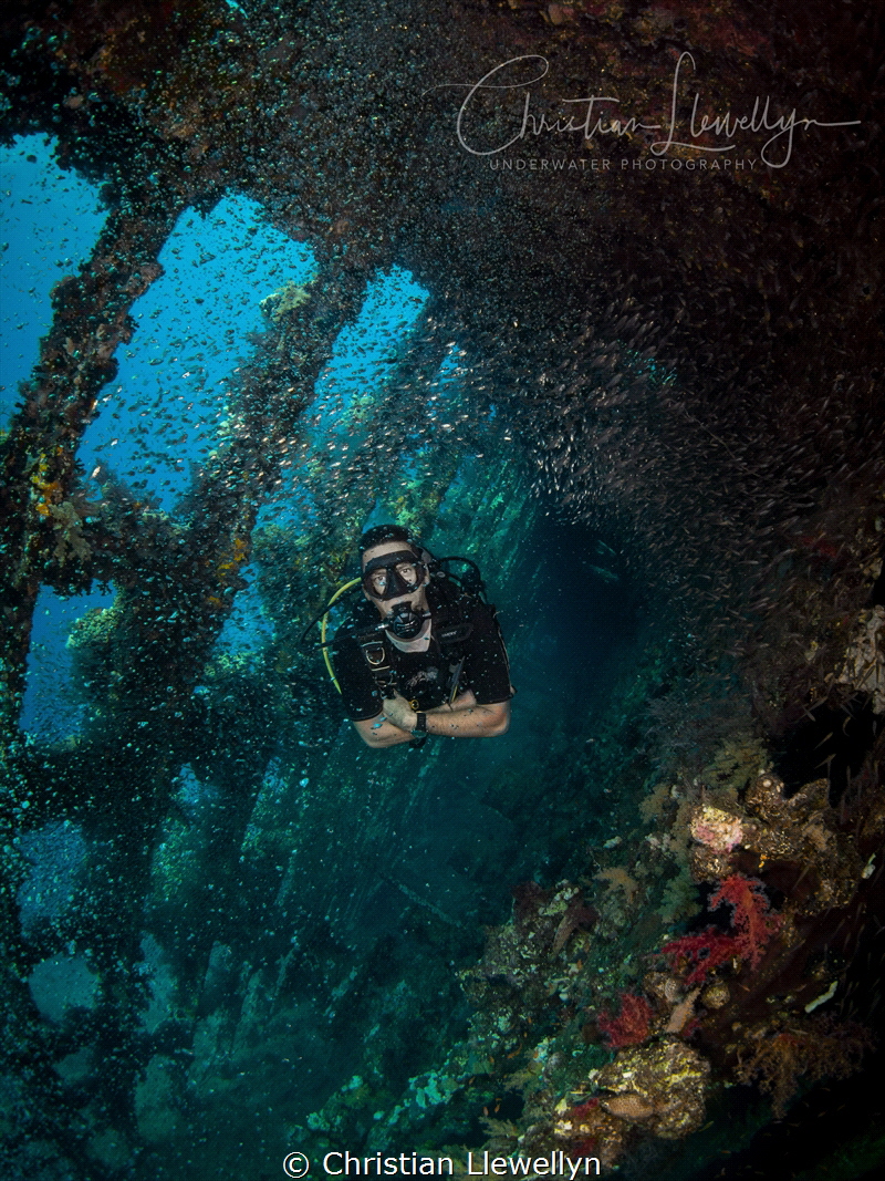 Location: Red Sea - Carnatic
Olympus OMD-EM5,
Nauticam ... by Christian Llewellyn 