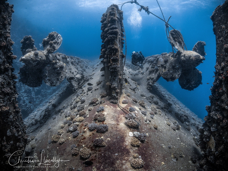 Al Kahfain 
Olympus OMD-EM5,
Nauticam Housing
Inon z24... by Christian Llewellyn 