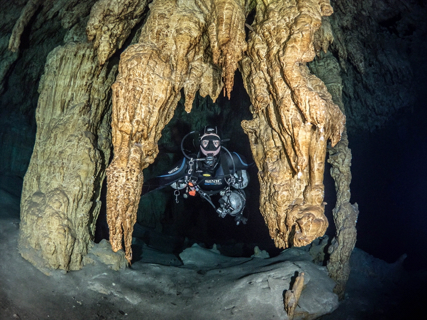 Some stalactites in a cave in Mexico. by Brenda De Vries 